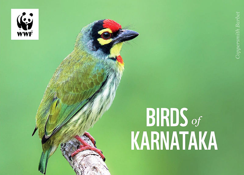 Birds of Karnataka