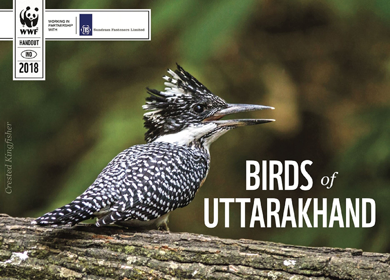 Birds of Uttarakhand